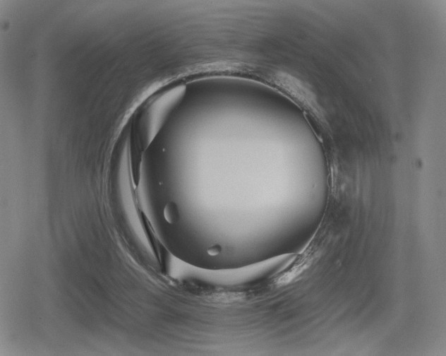 X0000080710156200612151142