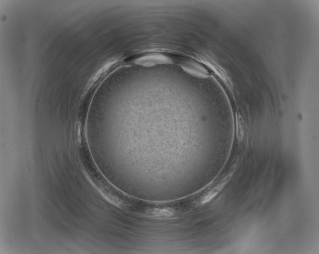 X0000080710157200612151142