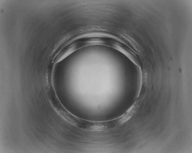 X0000080710158200612151142