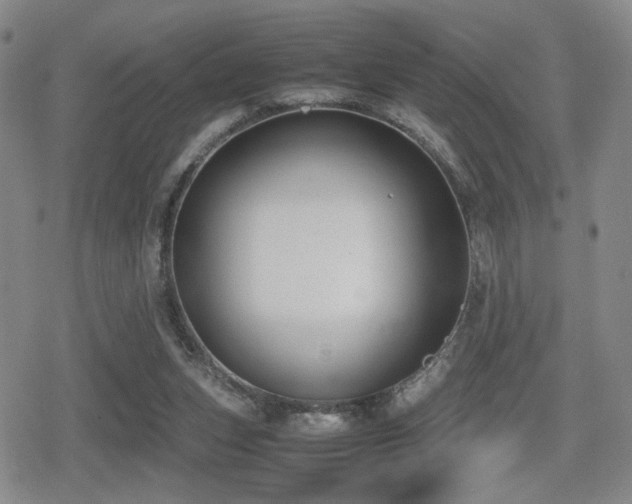 X0000080710159200612151142