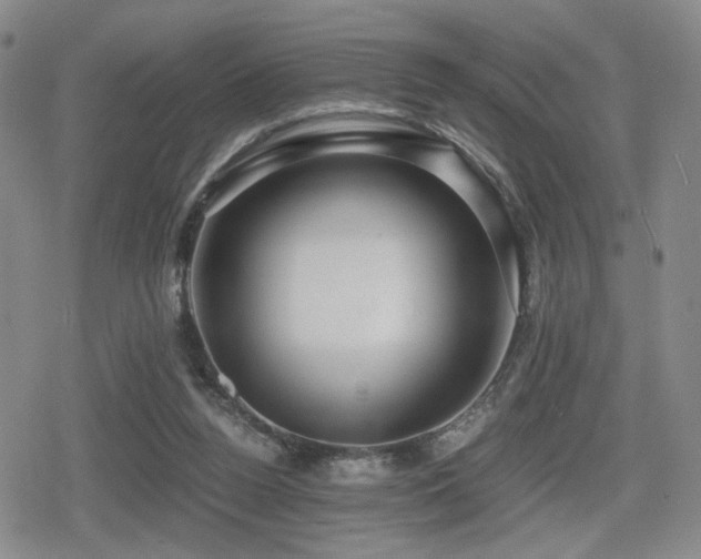 X0000080710160200612151142