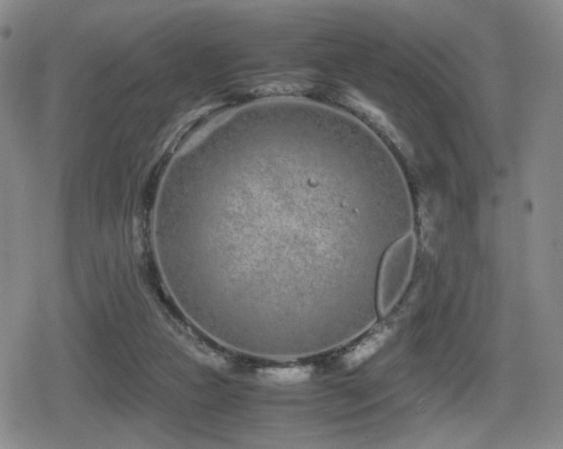 X0000080710161200612151142