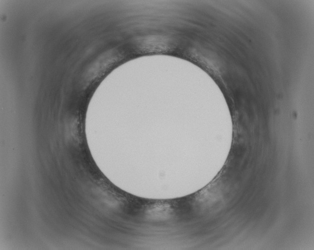 X0000080710162200612151143