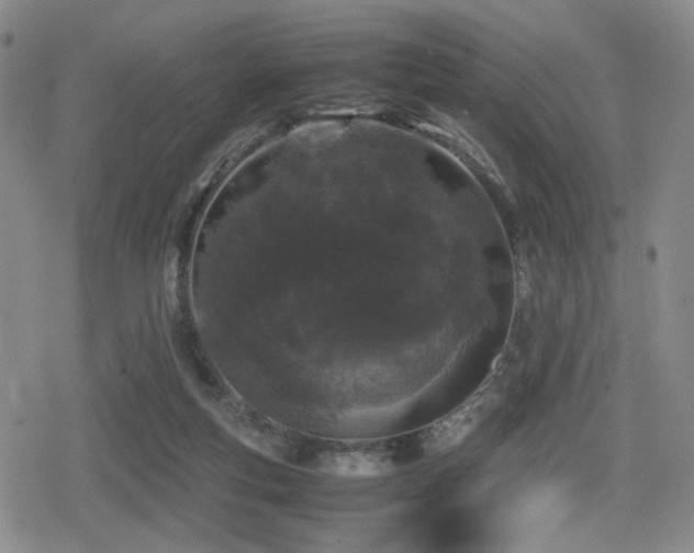 X0000080710163200612151143