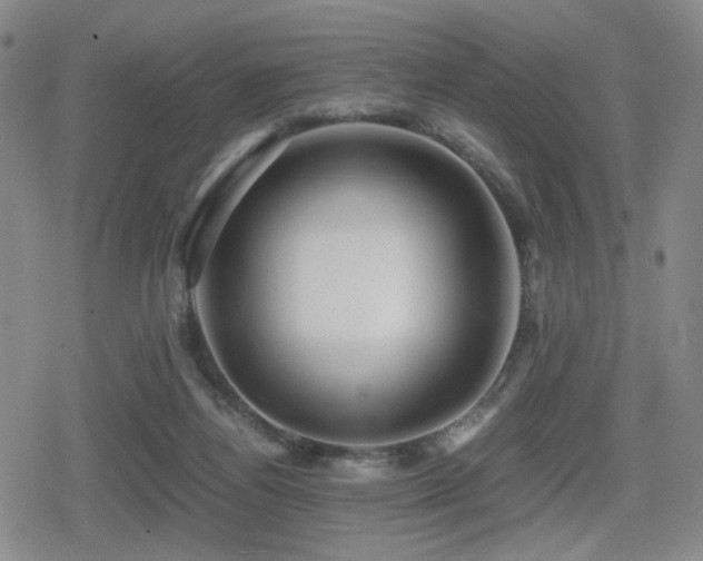 X0000080710164200612151143