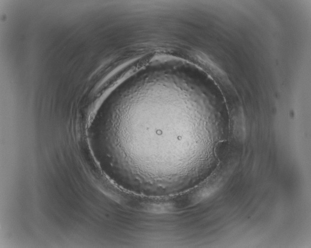 X0000080710165200612151143