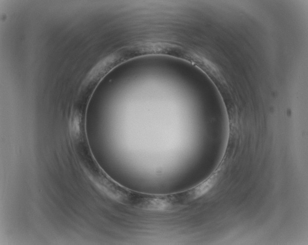 X0000080710166200612151143