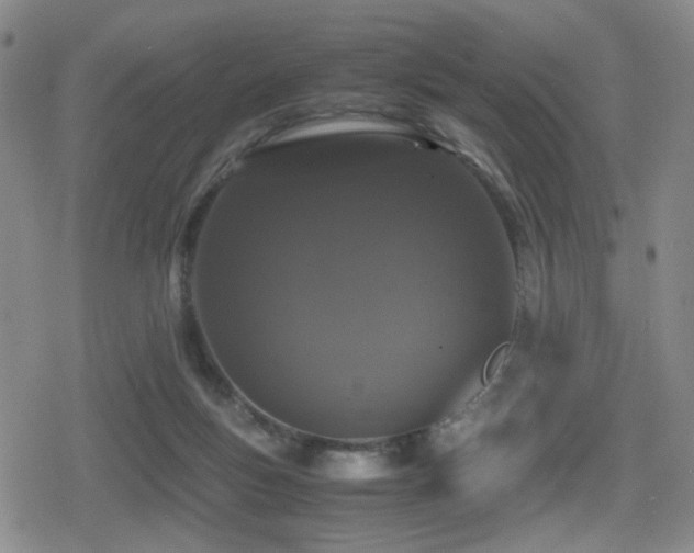 X0000080710167200612151143