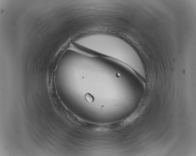 X0000080710168200612151143