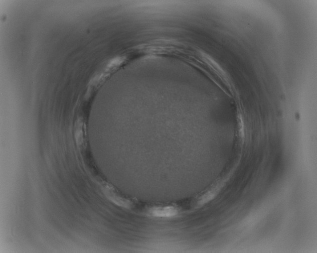 X0000080710169200612151143