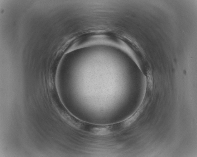 X0000080710170200612151143