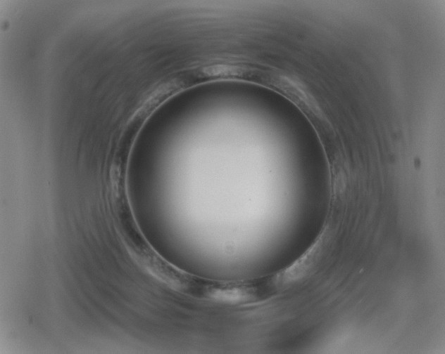 X0000080710171200612151143