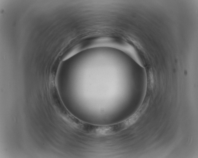 X0000080710172200612151143