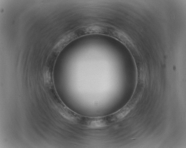 X0000080710173200612151143