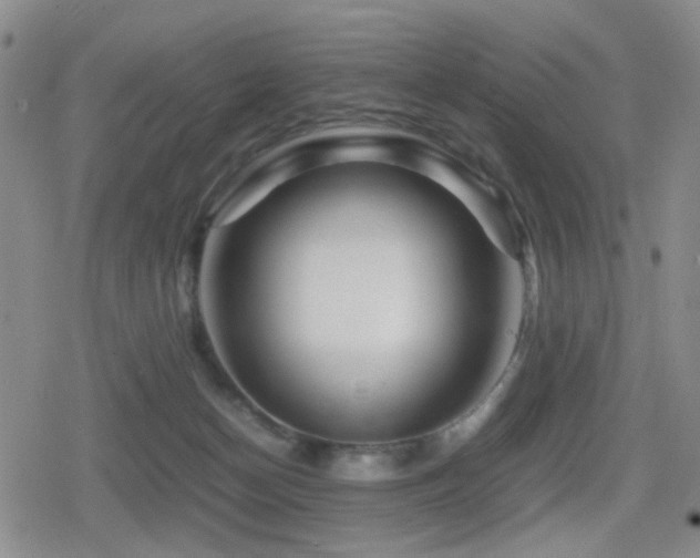 X0000080710174200612151143