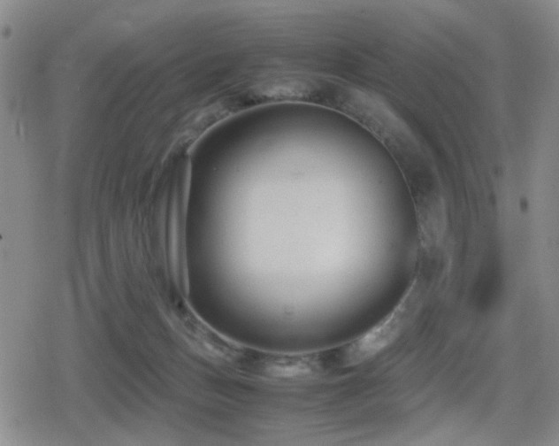 X0000080710175200612151143