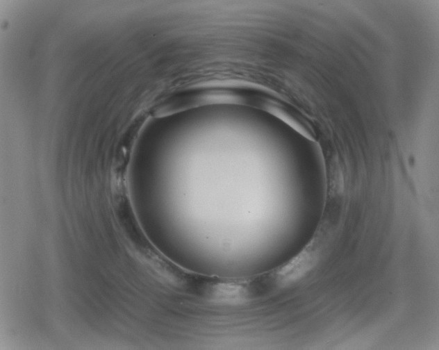 X0000080710176200612151143