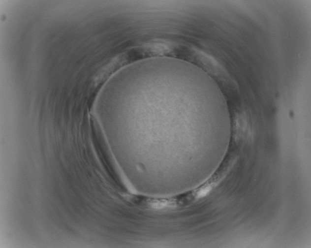 X0000080710177200612151143