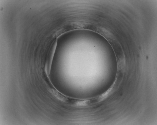 X0000080710178200612151143