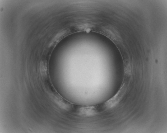 X0000080710179200612151143