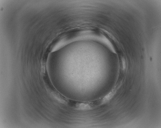 X0000080710180200612151143