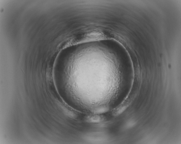 X0000080710181200612151143