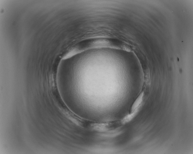 X0000080710182200612151143