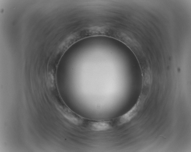 X0000080710183200612151143