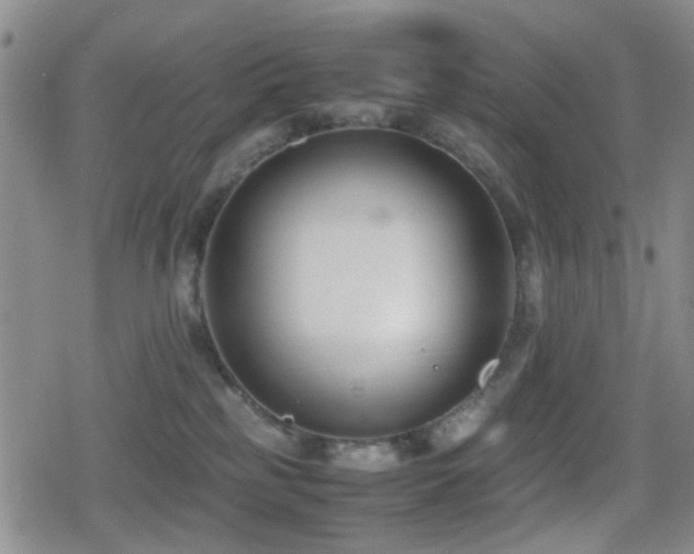 X0000080710185200612151143