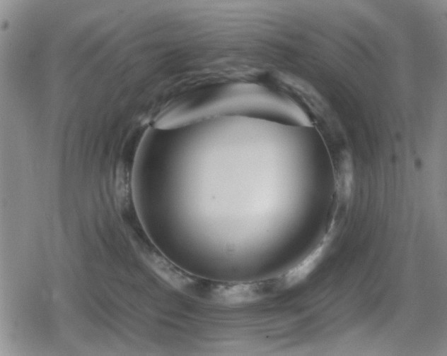 X0000080710186200612151143