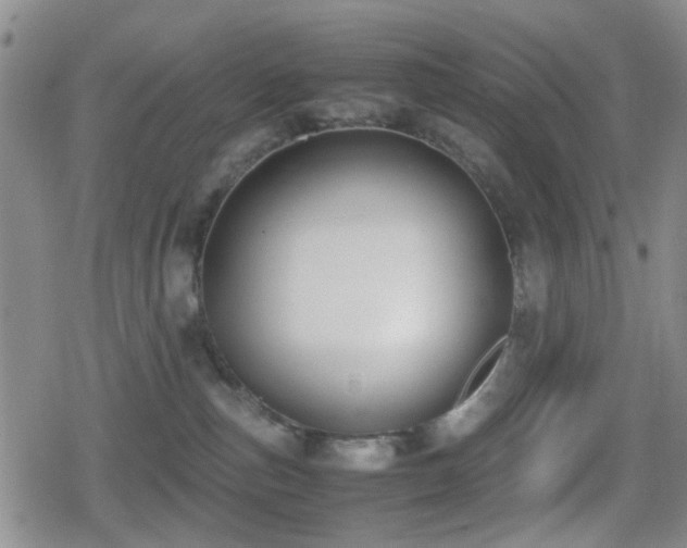 X0000080710187200612151143