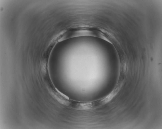 X0000080710188200612151143