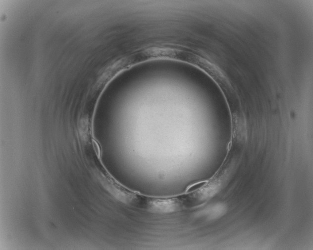 X0000080710189200612151143