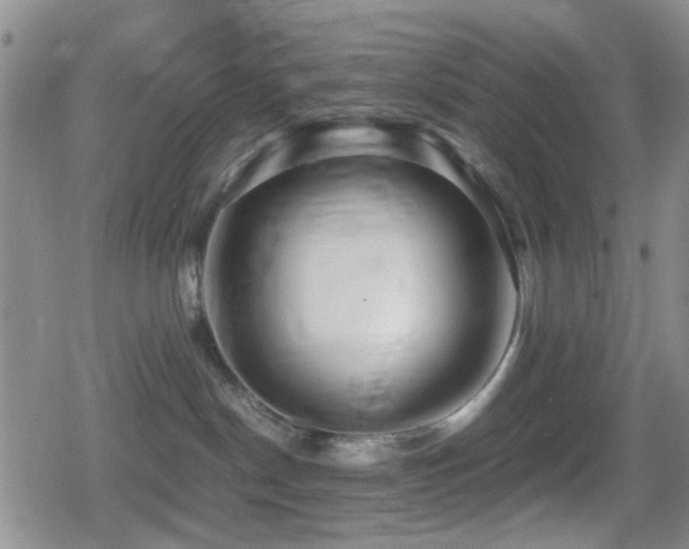 X0000080710190200612151143