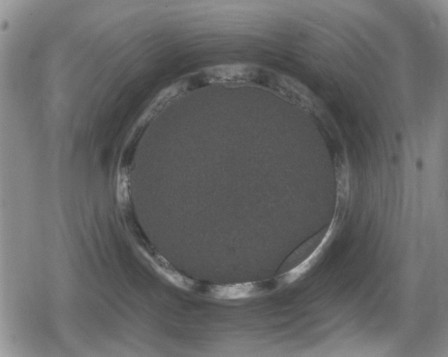 X0000080710191200612151143