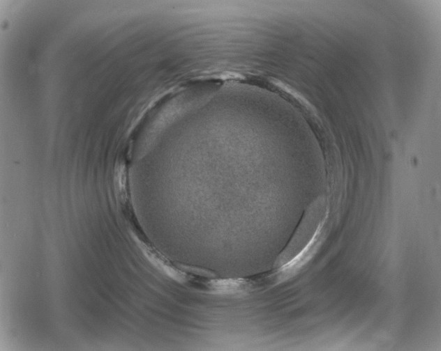 X0000080710192200612151143