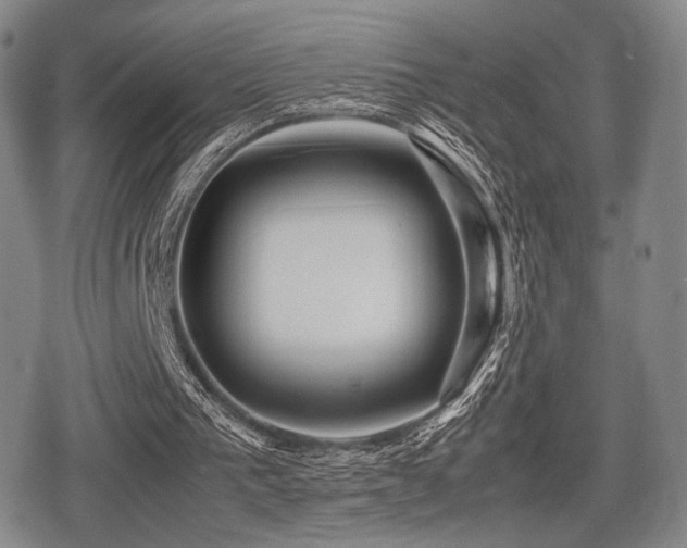 X0000080710193200612151142