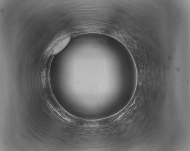 X0000080710194200612151142