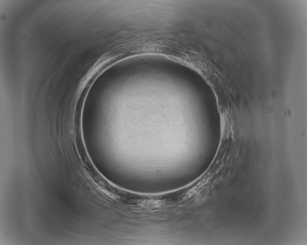 X0000080710195200612151142