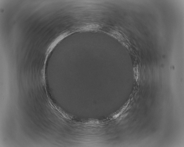 X0000080710196200612151142