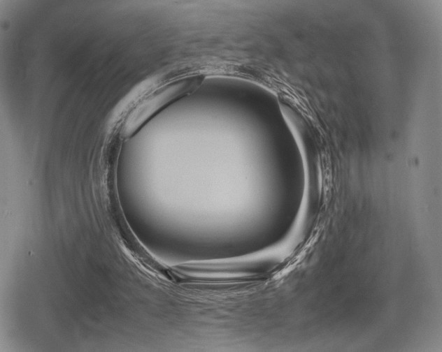 X0000080710197200612151142