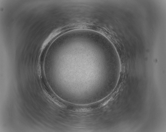 X0000080710198200612151142