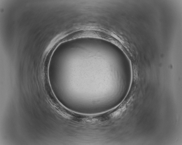 X0000080710199200612151142