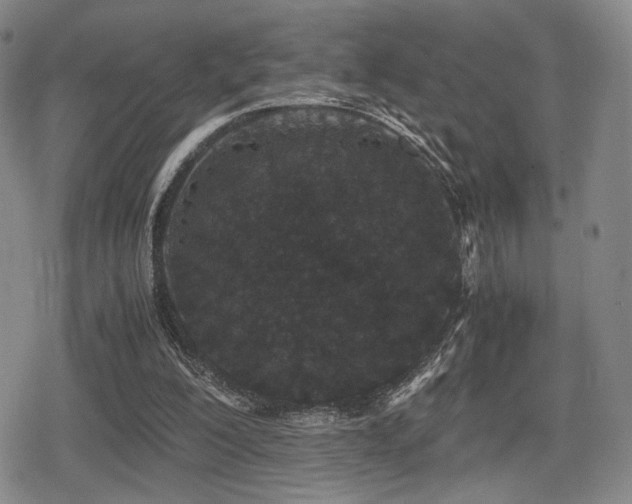 X0000080710200200612151142