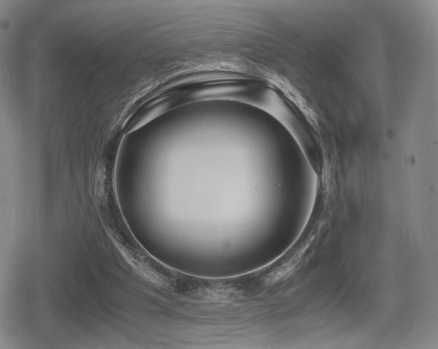 X0000080710201200612151142