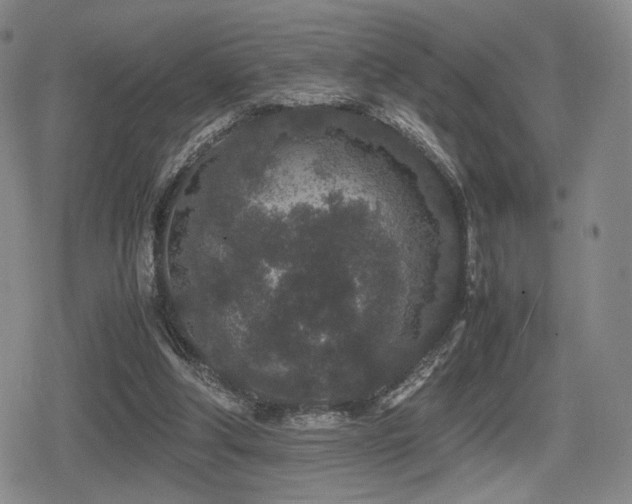 X0000080710202200612151142