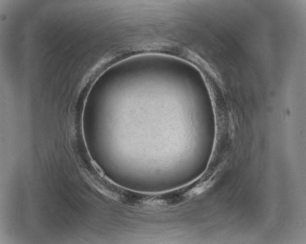 X0000080710203200612151142