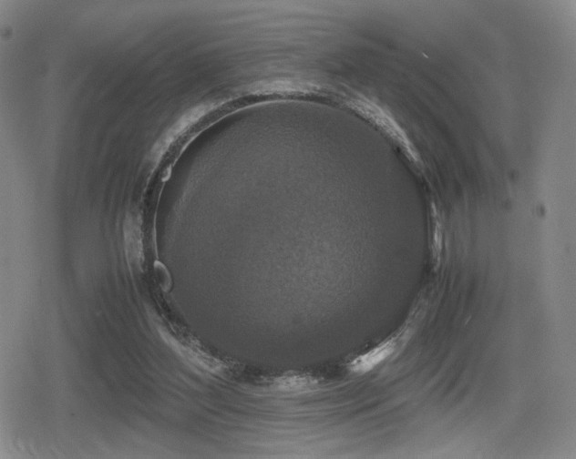 X0000080710204200612151142