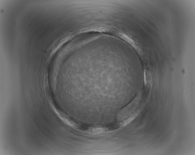 X0000080710205200612151142