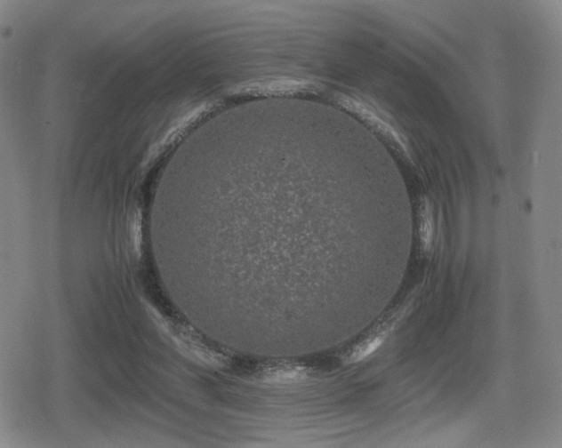 X0000080710206200612151142